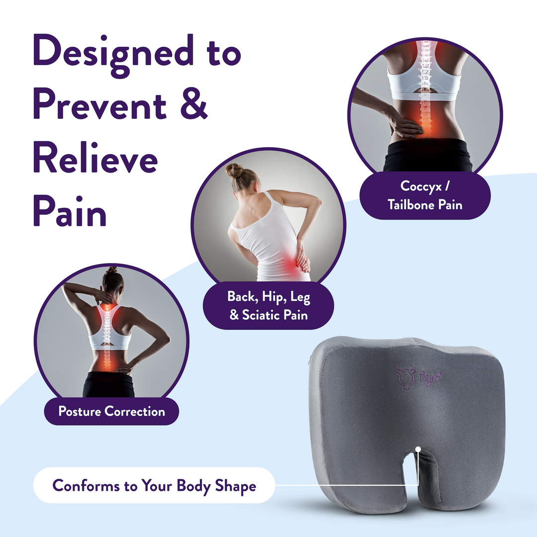 Coxis support pillow 2025